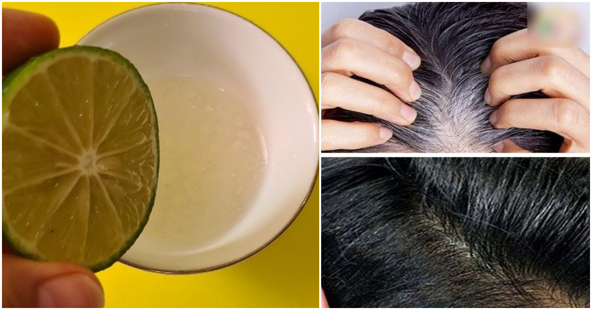 2 cách loại bỏ tóc bạc sớm bằng dầu dừa vô cùng hiệu quả: 10 người dùng thì 9 người khen