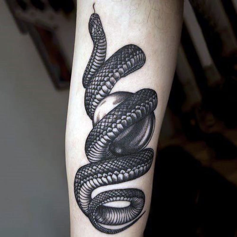 Hình xăm con rắn